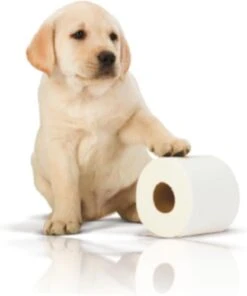 Page Toiletpapier - 32 Rollen - Kussenzacht Wc Papier (3-laags) - Voordeelverpakking -Dagelijkse Producten Winkel 1001x1200 4