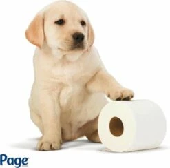 Page Toiletpapier - Eco - Duurzaam - 24 Rollen - Voordeelverpakking -Dagelijkse Producten Winkel 1200x1186 9