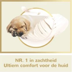 Page Puur Toiletpapier - 24 Rollen - Extra Duurzaam Wc Papier - Voordeelverpakking 11 Page Puur Toiletpapier - 24 Rollen - Extra Duurzaam Wc Papier - Voordeelverpakking -Dagelijkse Producten Winkel 1200x1200 1406