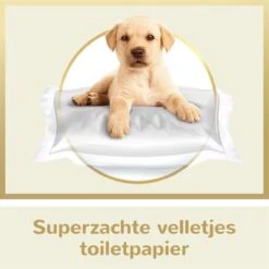 Page Puur Toiletpapier - 24 Rollen - Extra Duurzaam Wc Papier - Voordeelverpakking 13 Page Puur Toiletpapier - 24 Rollen - Extra Duurzaam Wc Papier - Voordeelverpakking -Dagelijkse Producten Winkel 1200x1200 1407
