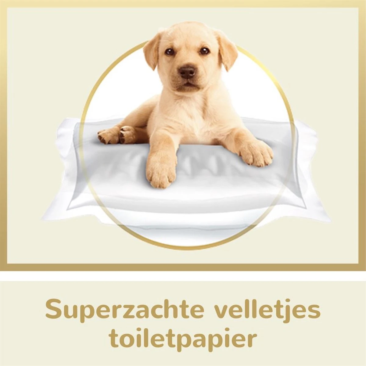 Page Puur Toiletpapier - 24 Rollen - Extra Duurzaam Wc Papier - Voordeelverpakking 5 Page Puur Toiletpapier - 24 Rollen - Extra Duurzaam Wc Papier - Voordeelverpakking - Afbeelding 5