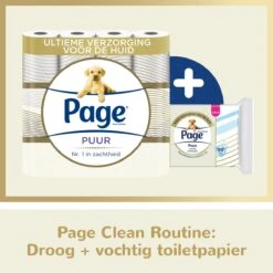 Page Puur Toiletpapier - 24 Rollen - Extra Duurzaam Wc Papier - Voordeelverpakking 15 Page Puur Toiletpapier - 24 Rollen - Extra Duurzaam Wc Papier - Voordeelverpakking -Dagelijkse Producten Winkel 1200x1200 1409