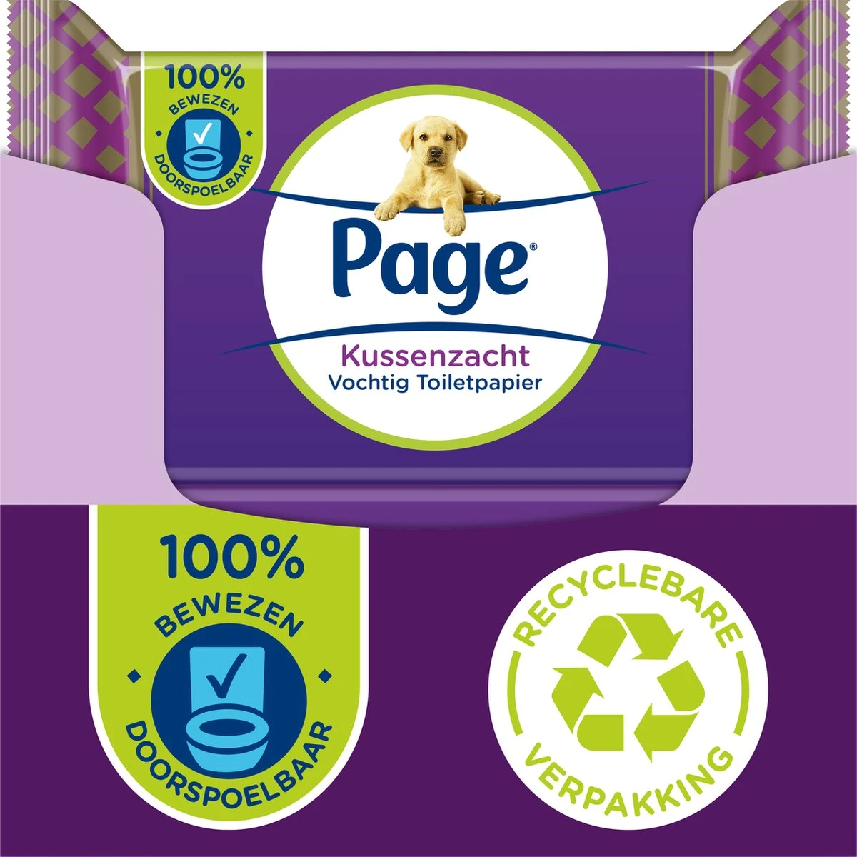 Page Vochtig Toiletpapier - 12 X 38 Stuks - Kussenzacht Vochtig Wc Papier - Voordeelverpakking 1 Page Vochtig Toiletpapier - 12 X 38 Stuks - Kussenzacht Vochtig Wc Papier - Voordeelverpakking