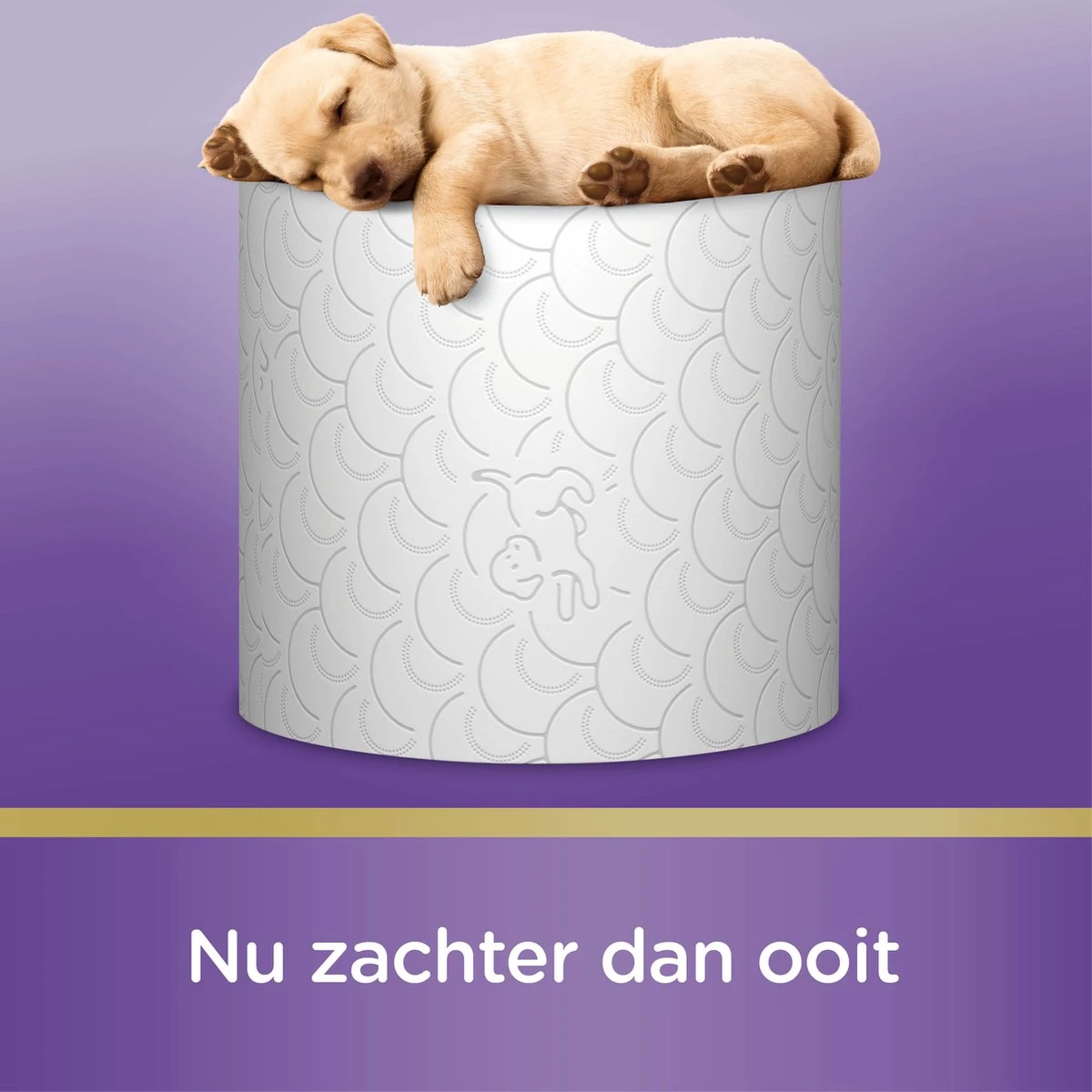 Page Toiletpapier - 63 Rollen - Kussenzacht Wc Papier (3-laags) - Met Extra Zijde - Voordeelverpakking 8 Page Toiletpapier - 63 Rollen - Kussenzacht Wc Papier (3-laags) - Met Extra Zijde - Voordeelverpakking - Afbeelding 8