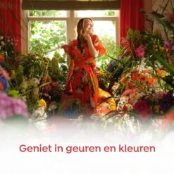 Robijn Klein & Krachtig Rosé Chique Vloeibaar Wasmiddel - 8 X 19 Wasbeurten - Voordeelverpakking 10 Robijn Klein & Krachtig Rosé Chique Vloeibaar Wasmiddel - 8 X 19 Wasbeurten - Voordeelverpakking -Dagelijkse Producten Winkel 1200x1200 41